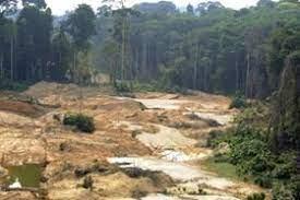 Destruyen la selva amazónica