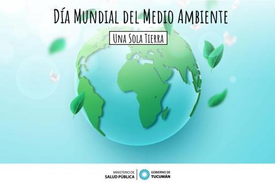 Medio Ambiente