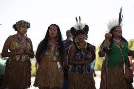 Mujeres de pueblos originarios en manifestación
