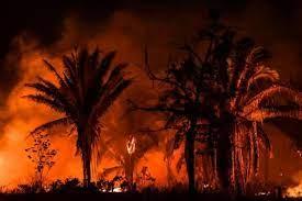 El incendio en la Amazonía, cerca de Itaituba, estado de Pará, Brasil
