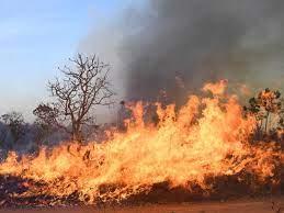 Las llamas consumen un área del Parque Nacional de Brasilia, ayer