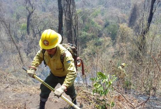 Lucha contra el fuego