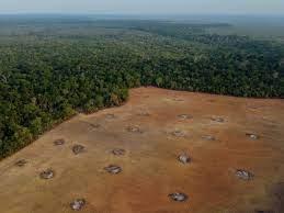Vista aérea de un área deforestada de la selva amazónica en los alrededores de la carretera BR-319 en la ciudad de Humaita