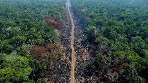 Un área deforestada y quemada en un tramo de la BR-230 (carretera transamazónica) en Humaitá
