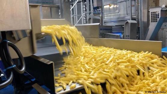 Fábrica de papas fritas en Mouscron, Bélgica