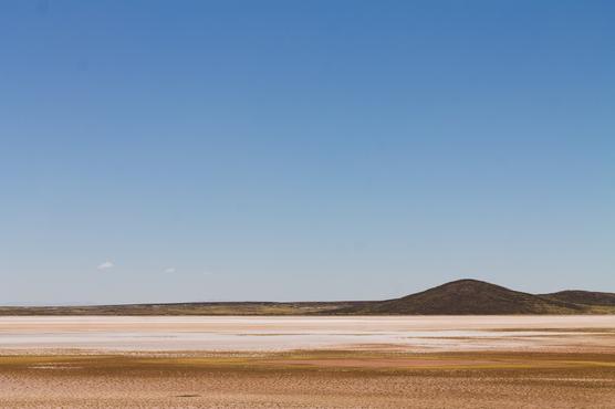 Vista del salar de Coipasa en el departamento de Oruro. Foto: @la_libelle