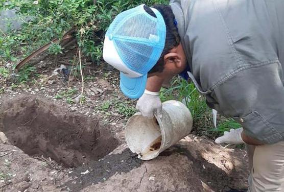 Contra el dengue