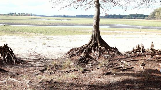 El embalse de Paso Severino prácticamente seco