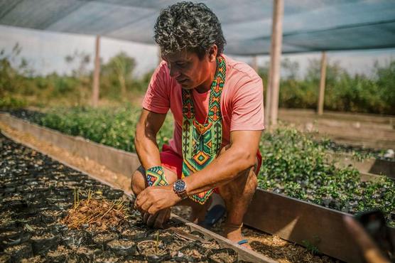 Puwe Puyanawa está a cargo del proyecto Aliança Reflorestar en la Tierra Indígena Puyanawa, en Acre - Edgar Azevedo