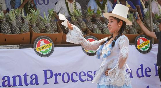 Planta procesadora de piña de gran demanda en la región