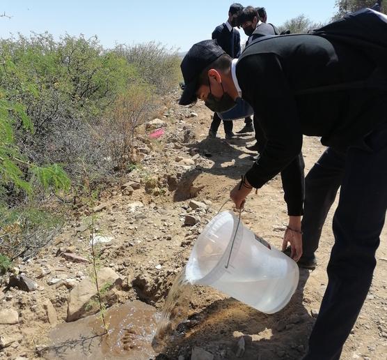 En Villa Rivero, estudiantes plantaron especies nativas en el cerro Killi Killi.