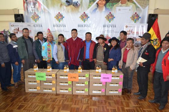 Entrega de insumos veterinarios a productores de camélidos.