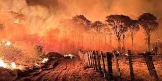 Clima seco y ola de calor favorecen incendios en la región