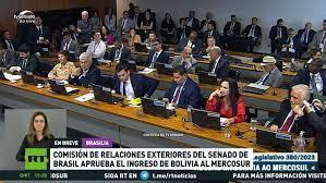 Senado brasileño