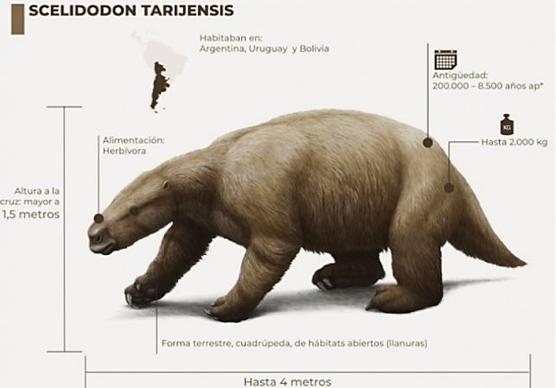 Modelo "in vivo" de Scelidodon tarijensis, un milodonte