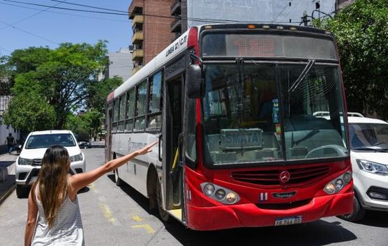 La municipalidad anunció que se realizarán controles exhaustivos para exigir el cumplimiento de las normativas vigentes.