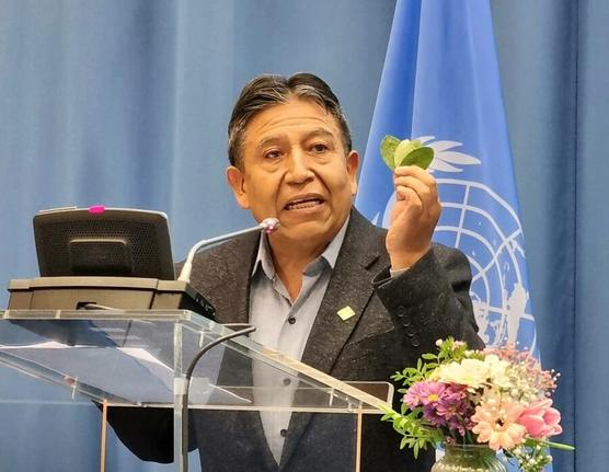 Choquehuanca en las Naciones Unidas
