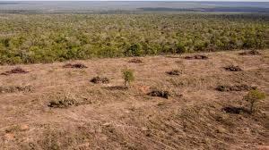 La deforestación en la sabana de la región de Cerrado, en la localidad brasileña de Sao Desidério - AFP