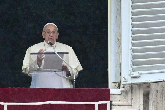 El Papa Francisco volvió a renovar su alegato antibélico © ANSA/AFP