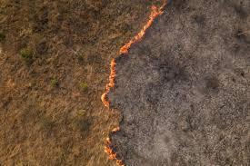 Vista aérea de un incendio en la zona rural de Corumbá, el el estado de Mato Grosso do Sul - Florian PLAUCHEUR / AFP 