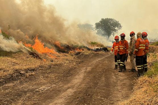 Intenso trabajo realizan los bomberos en la zona