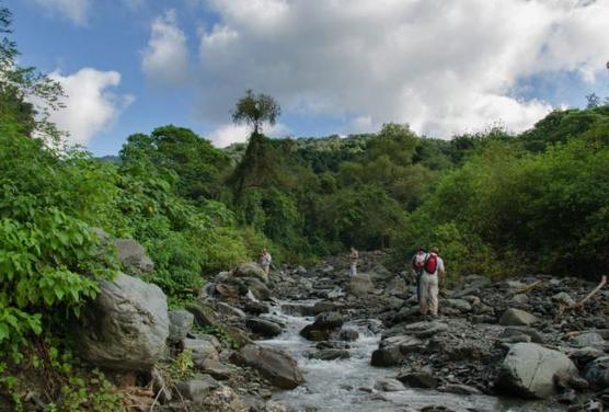 Biodiversidad