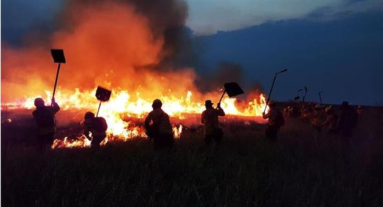 Bomberos bolivianos mitigan el incendio en cercanías de Corumbá