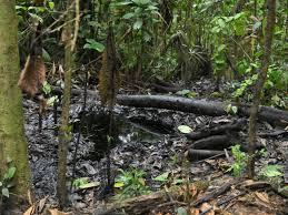 Derrame petrolero cerca de Guiyero aldea Waorani dentro del parque nacional Yasuni en la provincia de Orellana - AFP