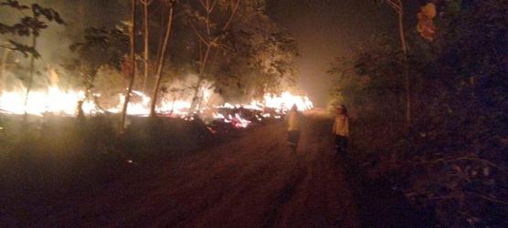 Bomberos de 4 países colaboran en la lucha contra el fuego