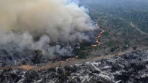  Vista aérea un área deforestada por incendios en la Amazonía en Brasil - © EVARISTO SA / AFP/Archivos