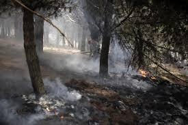 Bosque de pinos bajo fuego en la provincia ecuatoriana de Cotopaxi -  © Galo Paguay / AFP