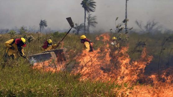 Los focos de incendios comienzan a disminuir