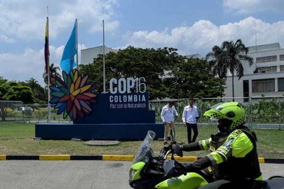 El Pacific Event Center de Yumbo, cerca de Cali, departamento del Valle del Cauca - © JOAQUIN SARMIENTO / AFP