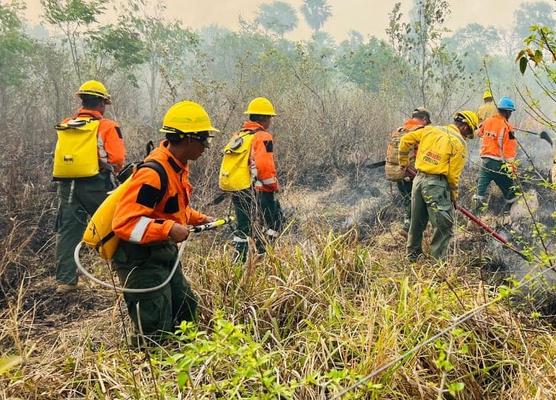 Trabajan más de dos mil bomberos