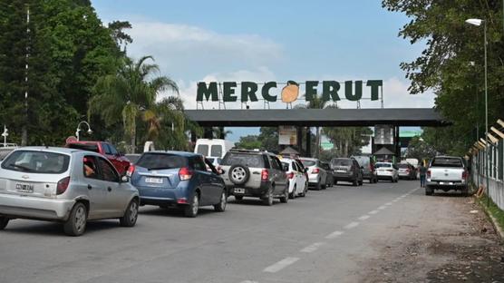 Mercofrut